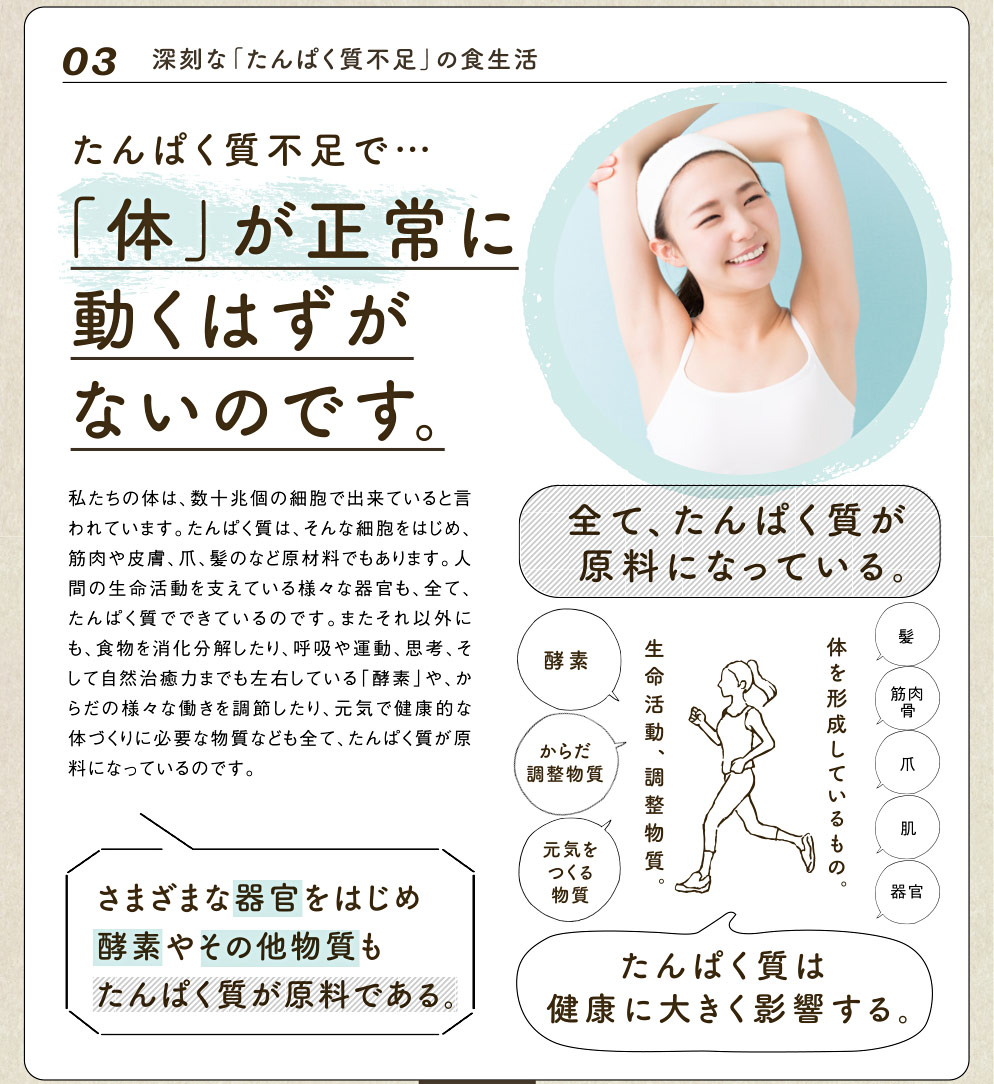 タンパクオトメLP