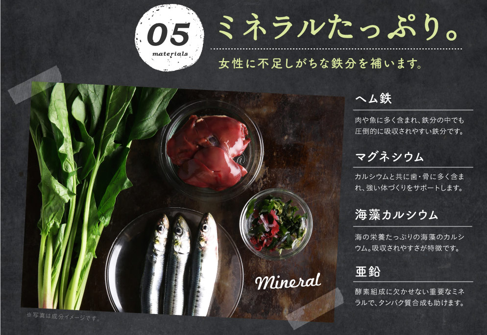 タンパクオトメLP