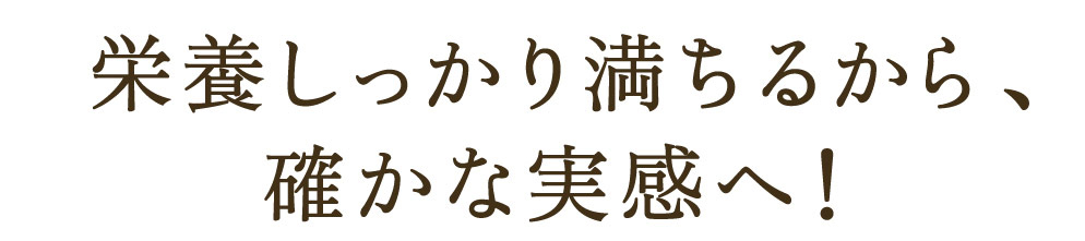 タンパクオトメLP