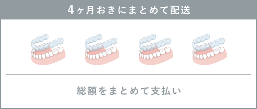 一括購入プラン