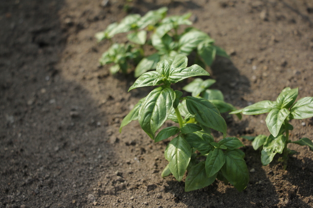 エシカルファッションブランドとは 各国のおすすめのブランド一挙ご紹介