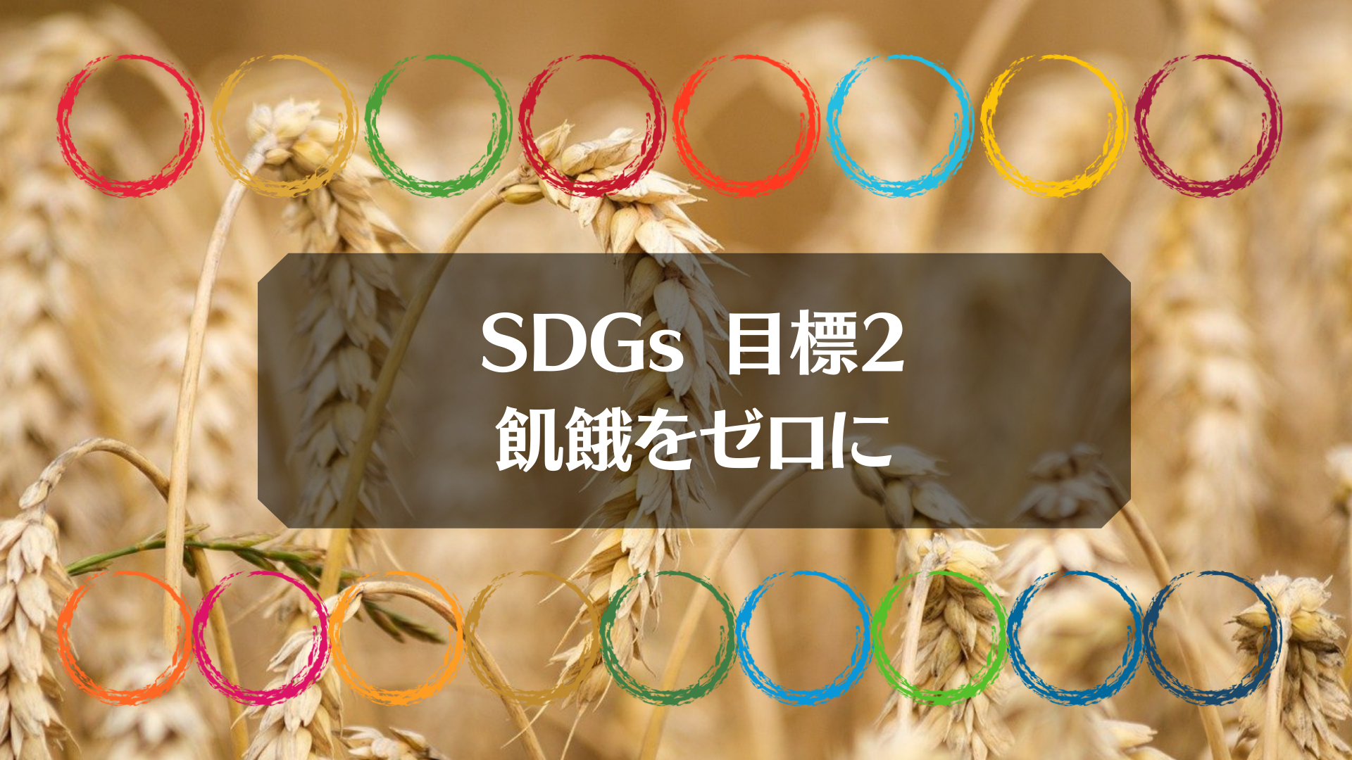 Sdgs2 飢餓をゼロに とは 現状や取り組み事例 私たちにできること