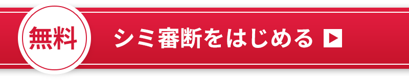シミ審断をはじめる