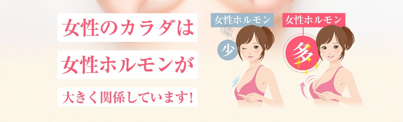 女性ホルモン 図