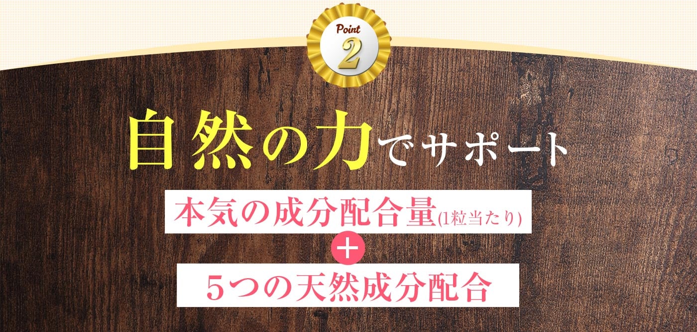Point2 自然の力でサポート