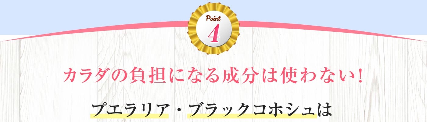 Point4 カラダの負担になる成分は使わない!