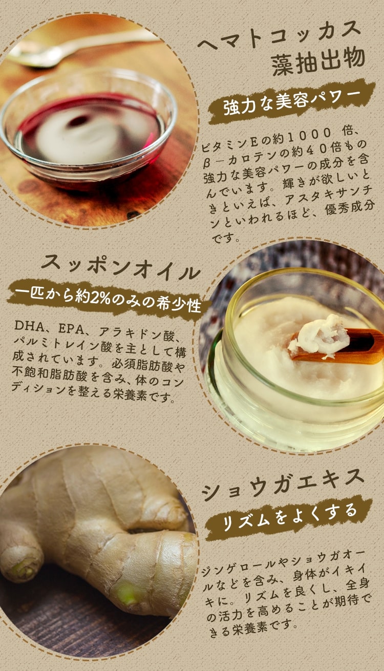 purebeplus