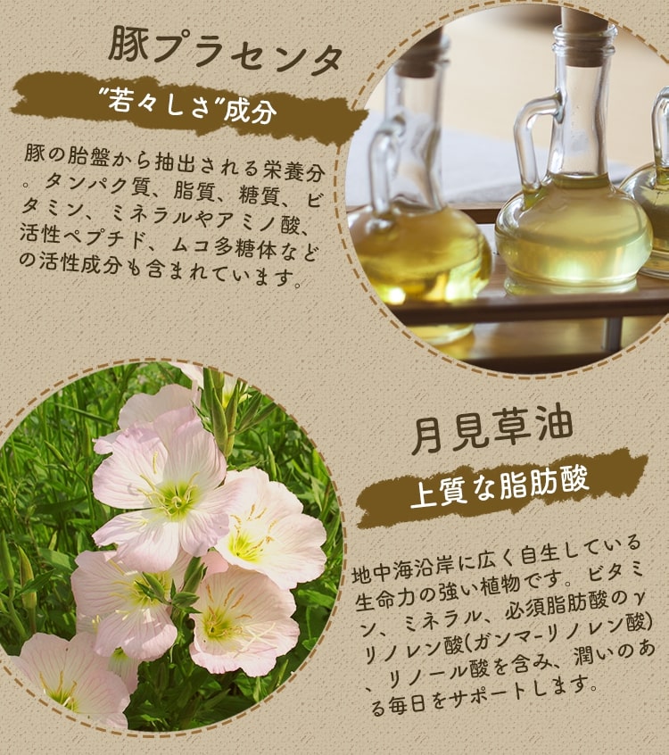 purebeplus