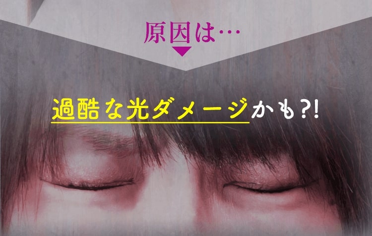 purebeplus