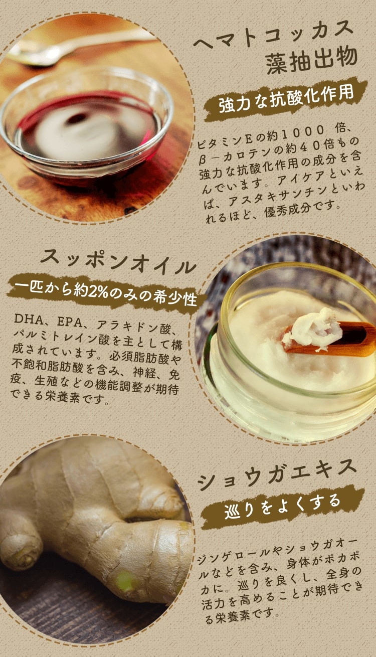 purebeplus