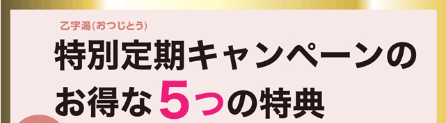 ピーチラック乙字湯 漢方生薬研究所 こんな お尻 のお悩みありませんか
