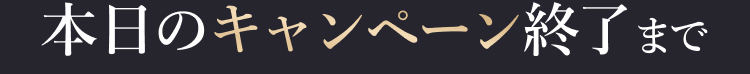 本日のキャンペーン終了まで