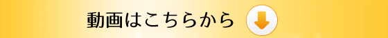 動画はこちらから