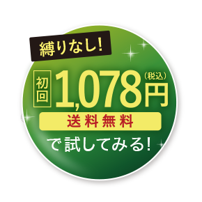 初回980円送料無料で試してみる!