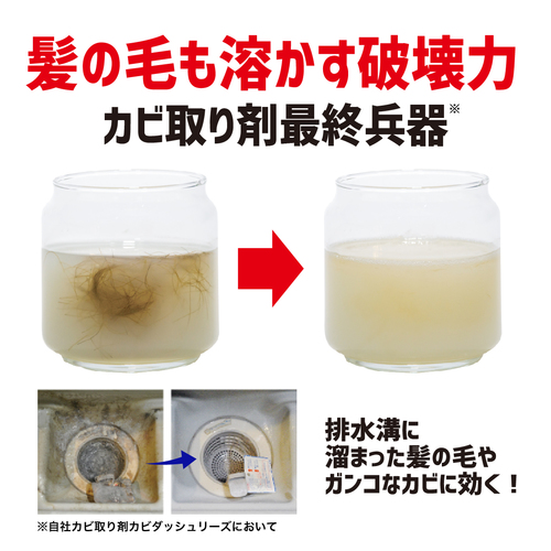 カビダッシュ ガンコすぎる最強 カビ専用 特濃ストロングジェル Liberta Online Store