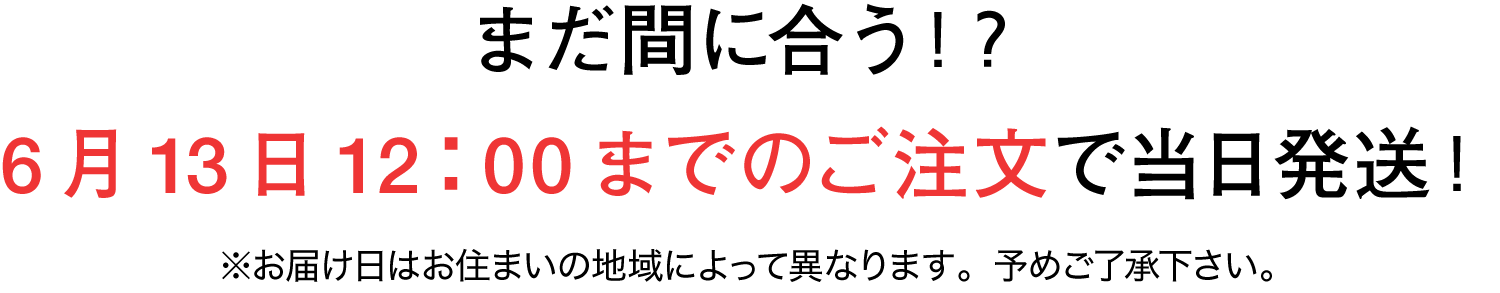 まだ間に合う!? 6月13日12:00までのご注文で当日発送! ※お届け日はお住まいの地域によって異なります。予めご了承下さい。