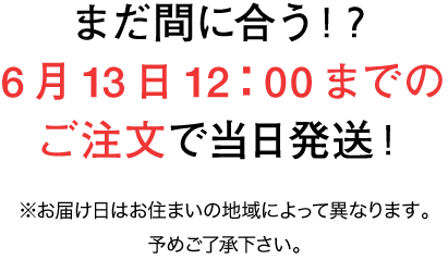 まだ間に合う!? 6月13日12:00までのご注文で当日発送! ※お届け日はお住まいの地域によって異なります。予めご了承下さい。