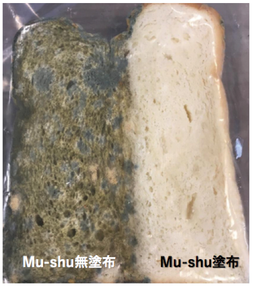 Mu-shu無塗布 / Mu-shu塗布