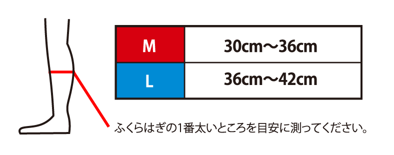 M:30cm〜36cm L:36cm〜42cm ふくらはぎの1番太いところを目安に測ってください。
