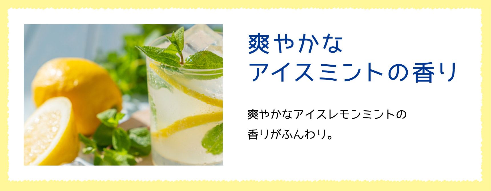 爽やかなアイスミントの香り 爽やかなアイスレモンミントの香りがふんわり。