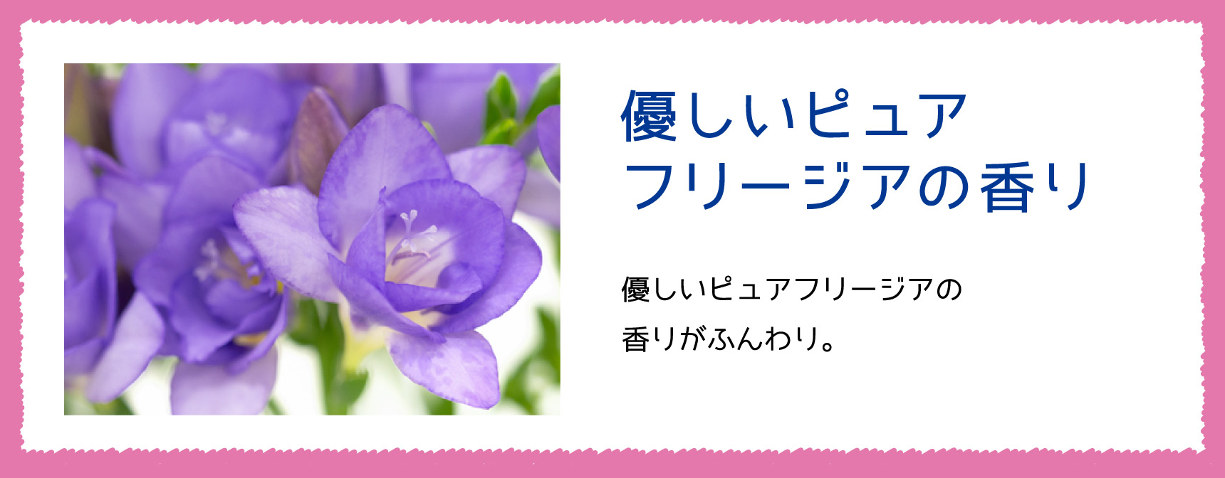 優しいピュアフリージアの香り 優しいピュアフリージアの香りがふんわり。