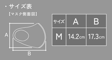 サイズ表
