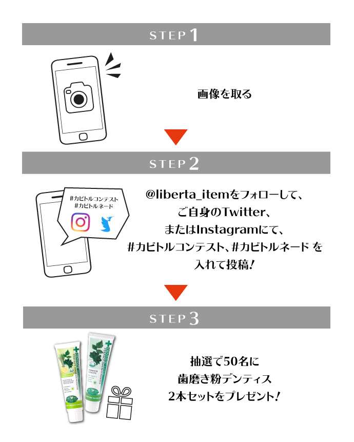 STEP1 画像を取る STEP2 @liberta_itemをフォローして、ご自身のTwitter、またはInstagramにて、#カビトルコンテスト、#カビトルネード を入れて投稿! STEP3 抽選で50名に歯磨き粉デンティス2本セットをプレゼント!