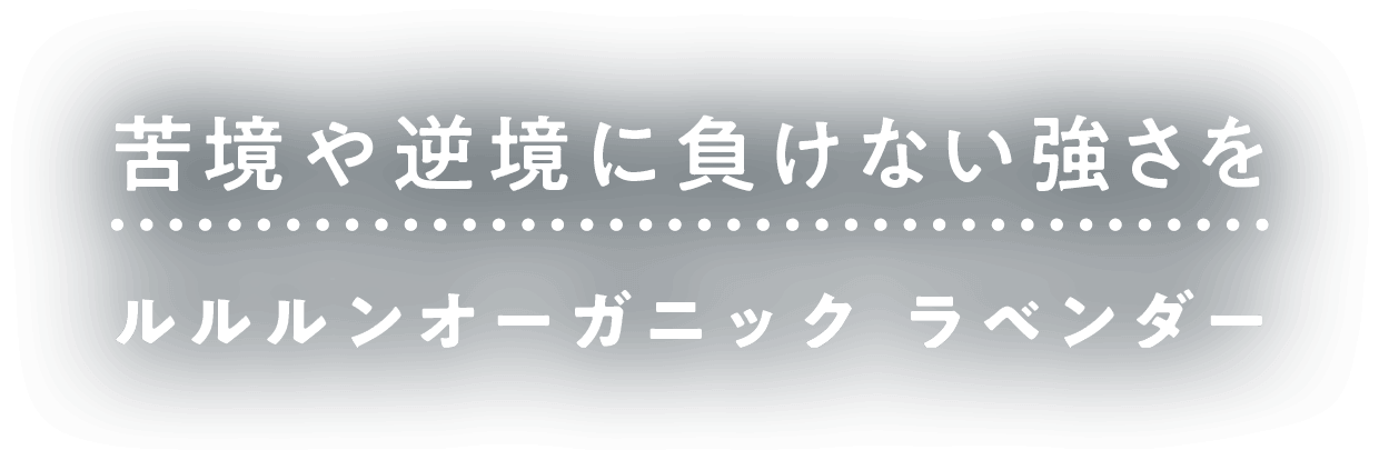 フェイスマスク ルルルン 公式