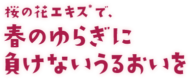 桜の花エキス*で、春のゆらぎに負けないうるおいを