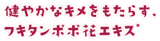 健やかなキメをもたらす、フキタンポポ花エキス*