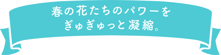 春の花たちのパワーをぎゅぎゅっと凝縮。