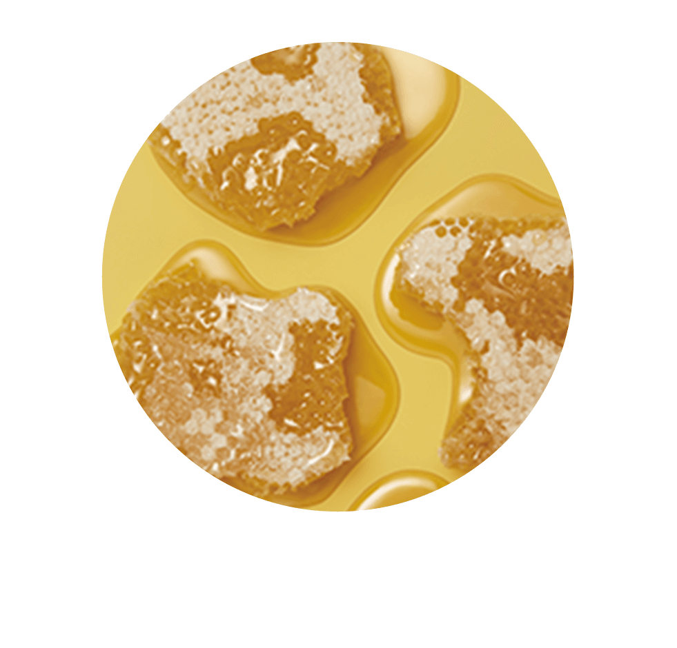 ローヤルゼリーエキス