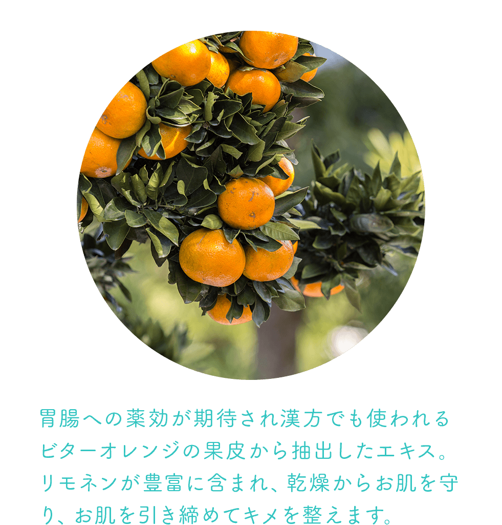 ビターオレンジ果皮エキス