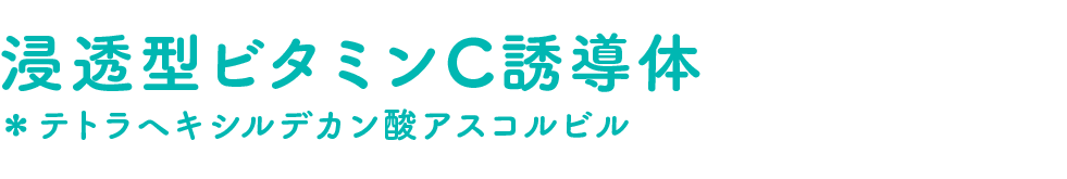 浸透型ビタミンC誘導体