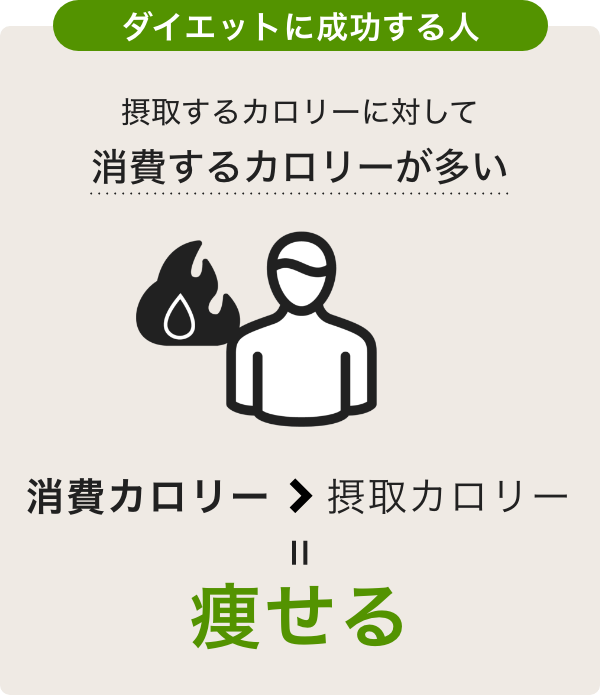 消費カロリー>摂取カロリー=痩せる 消費カロリー<摂取カロリー=太る