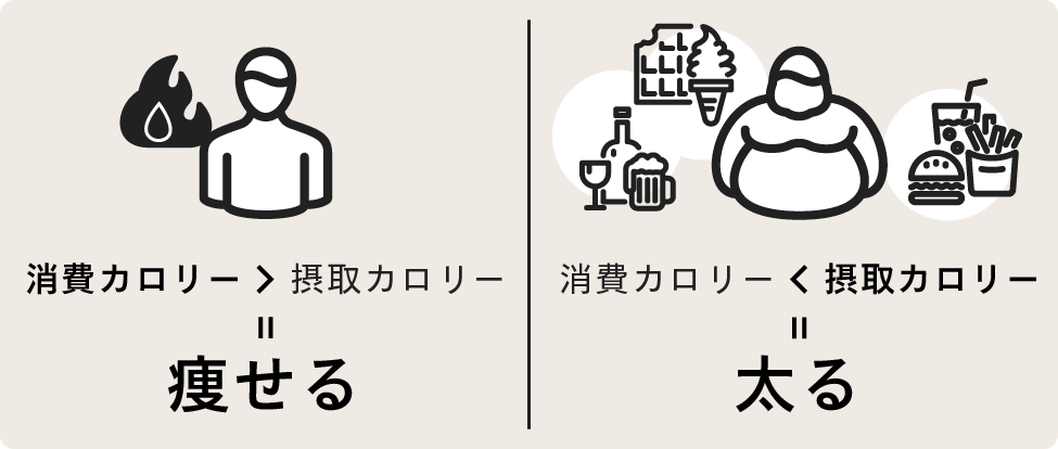 消費カロリー>摂取カロリー=痩せる 消費カロリー<摂取カロリー=太る