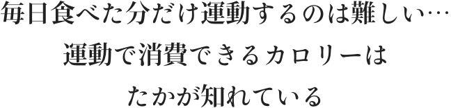 消費カロリー>摂取カロリー=痩せる 消費カロリー<摂取カロリー=太る