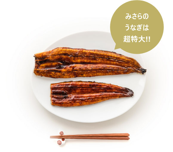 みさらのうなぎは超特大!