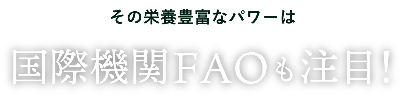 その栄養豊富なパワーは 国際機関FAOも注目!