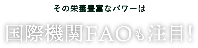 その栄養豊富なパワーは 国際機関FAOも注目!