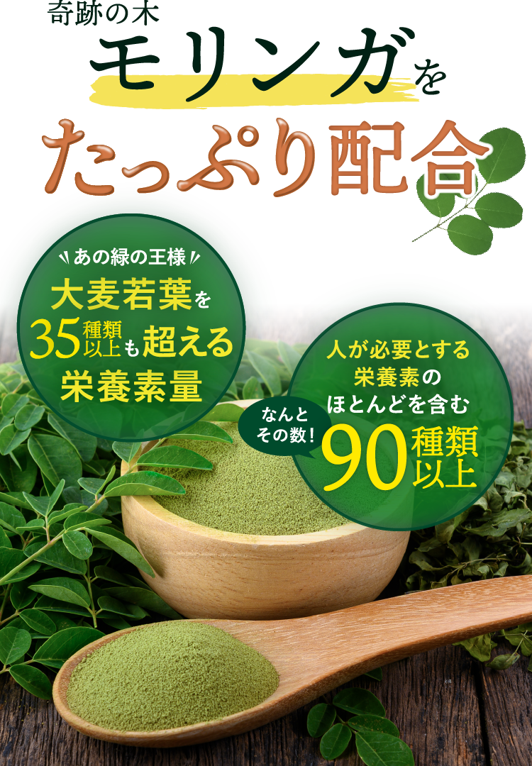 モリンガを