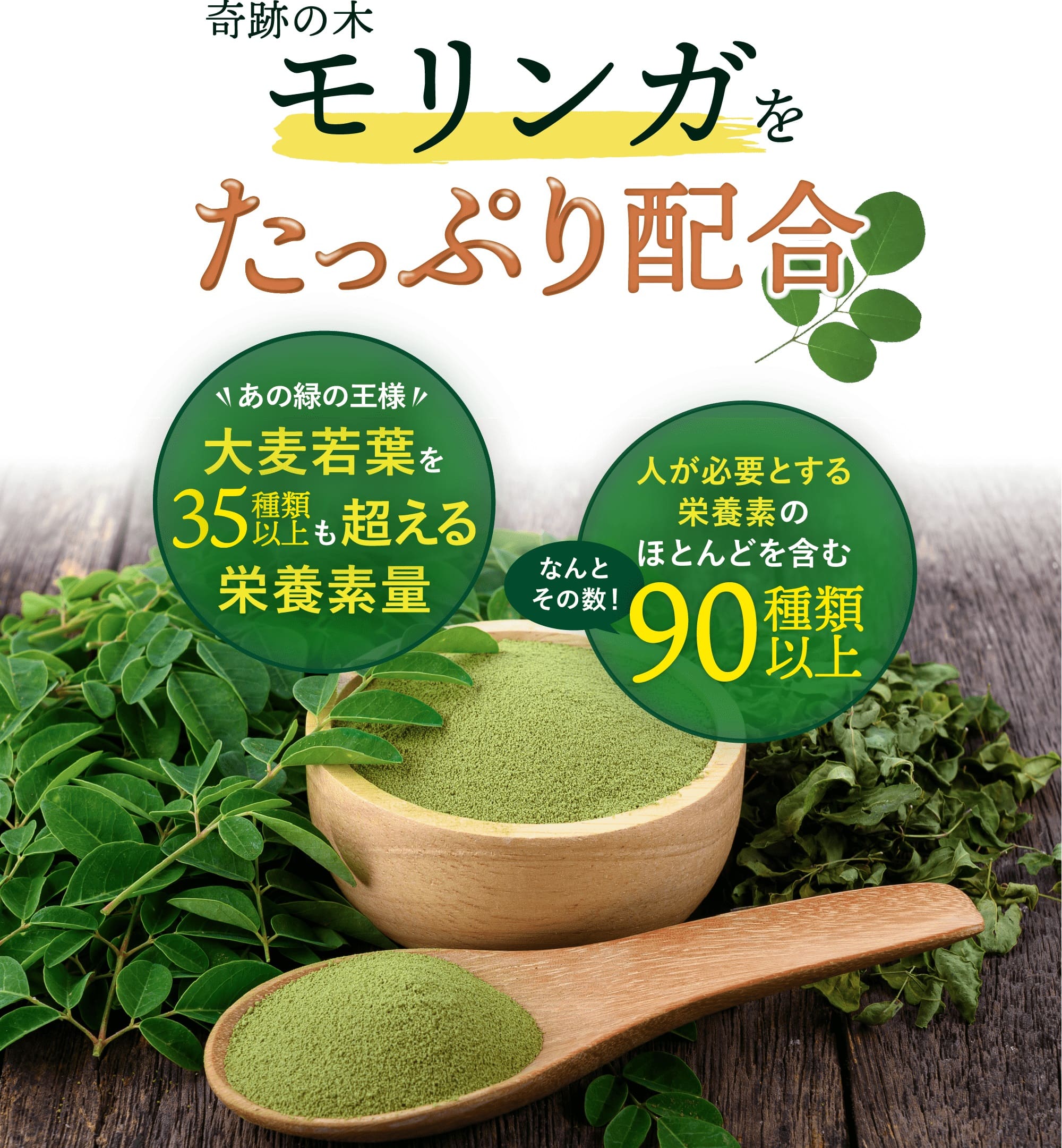 モリンガを