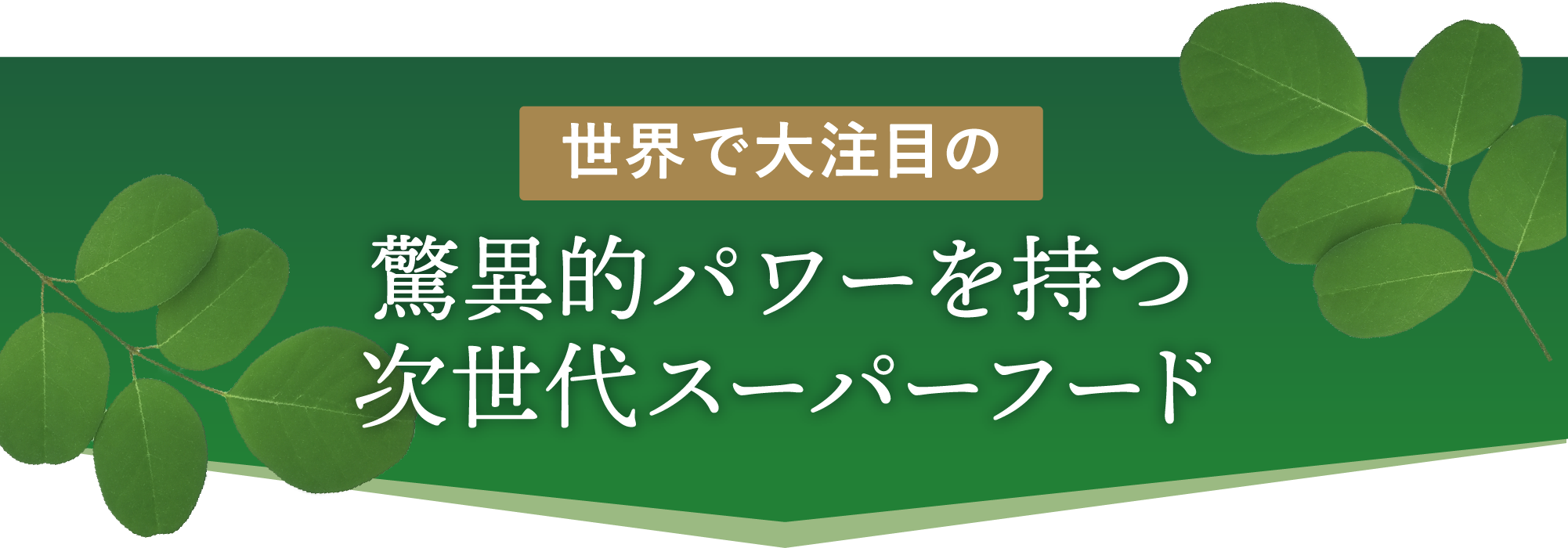 世界で大注目の驚異的パワーを持つ次世代スーパーフード