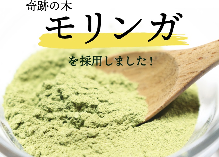 奇跡の木 モリンガ を採用しました!