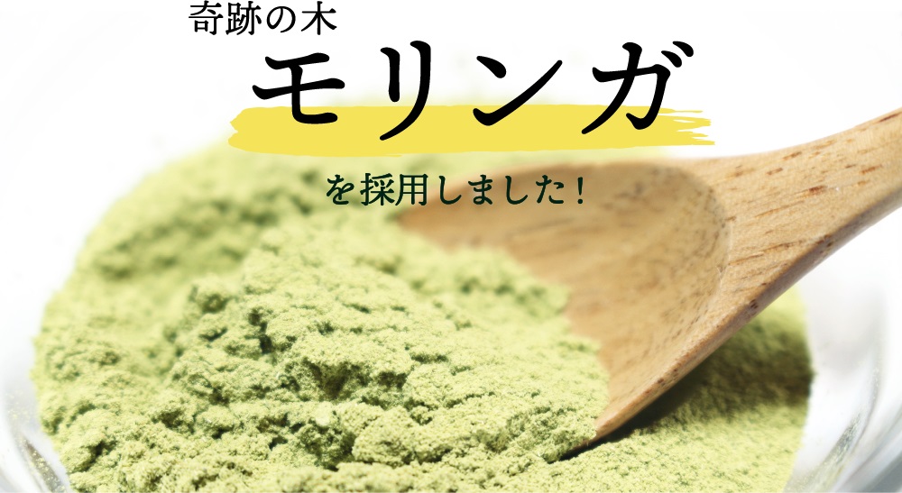 奇跡の木 モリンガ を採用しました!