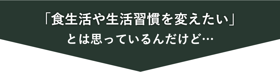 「食生活や生活習慣を変えたい」とは思っているんだけど…