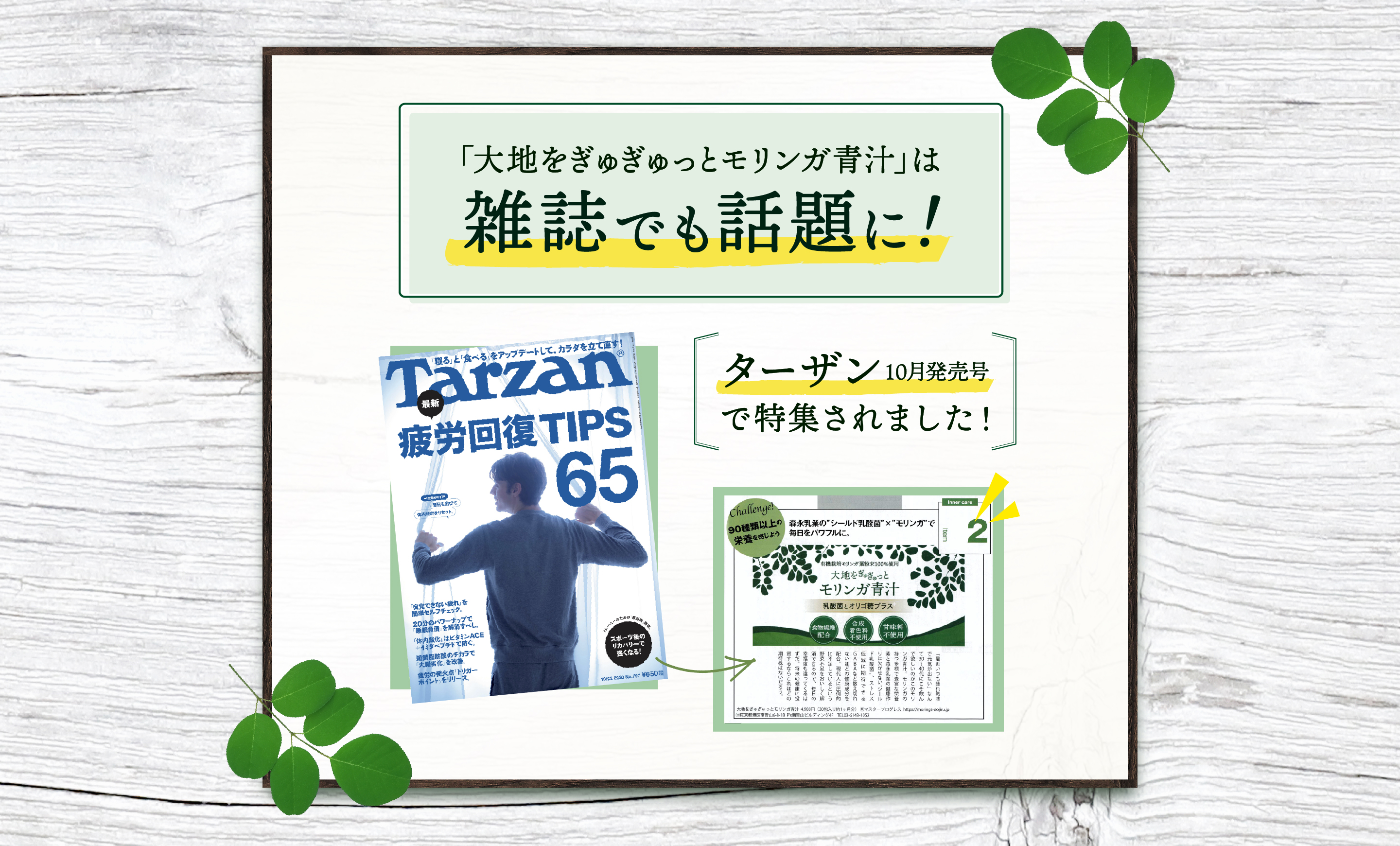 雑誌