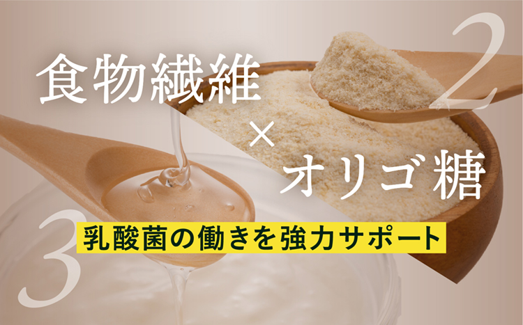 乳酸菌の働きを強力サポート
