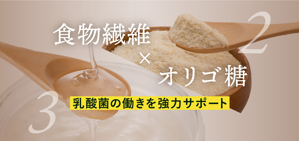 乳酸菌の働きを強力サポート