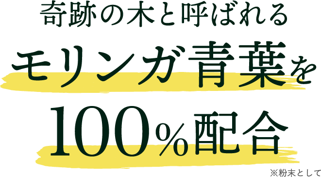 モリンガ青葉を100%配合